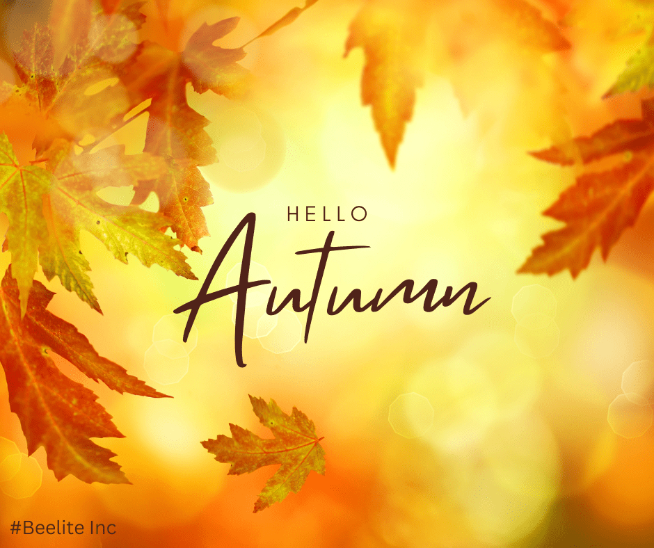 Happy Thanksgiving Everyone!