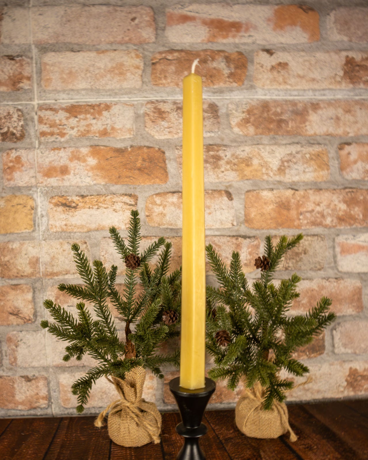 10 inch Hexagon tapers (Pair)