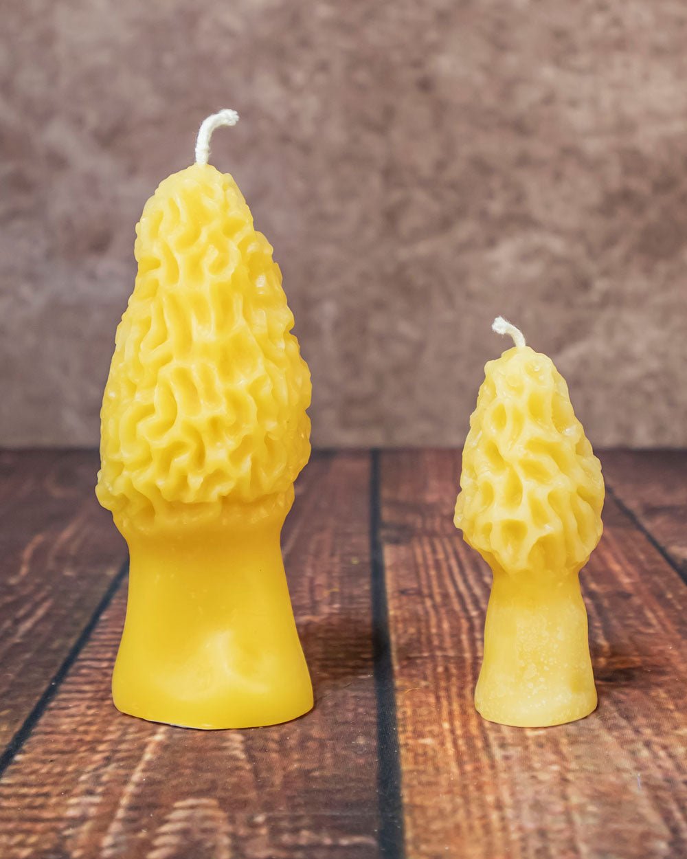 Morel Mushroom