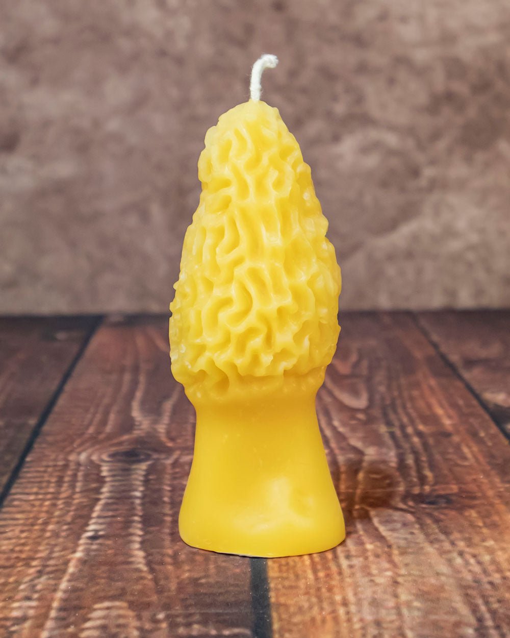 Morel Mushroom