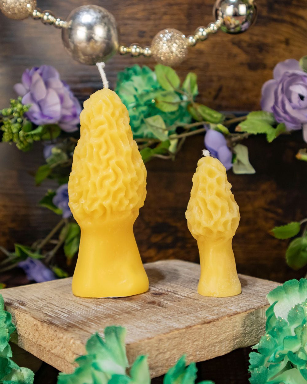 Morel Mushroom
