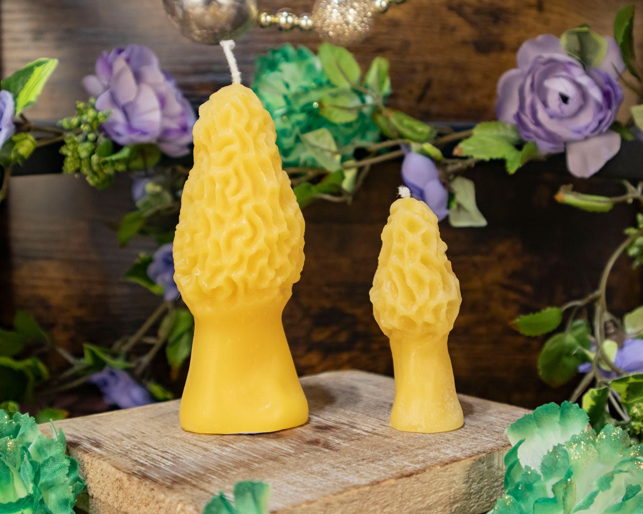 Morel Mushroom