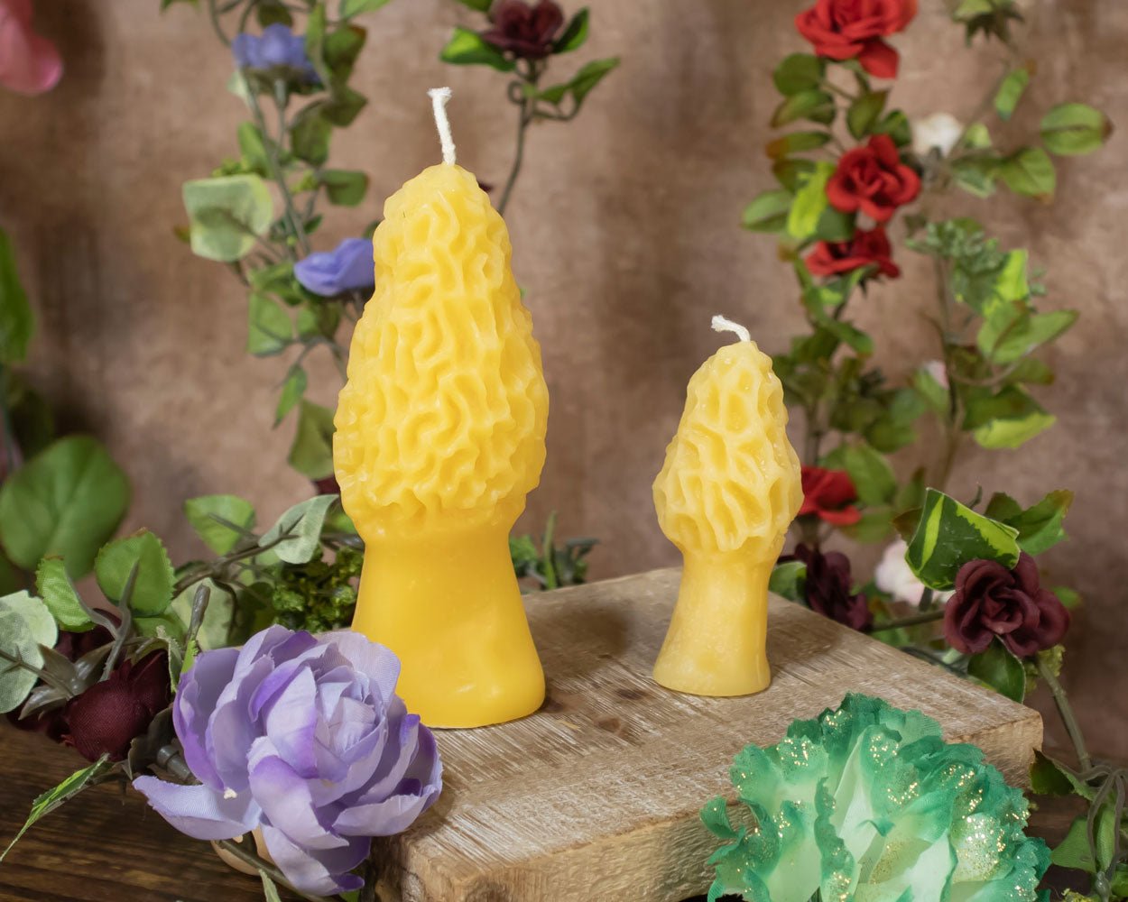 Morel Mushroom