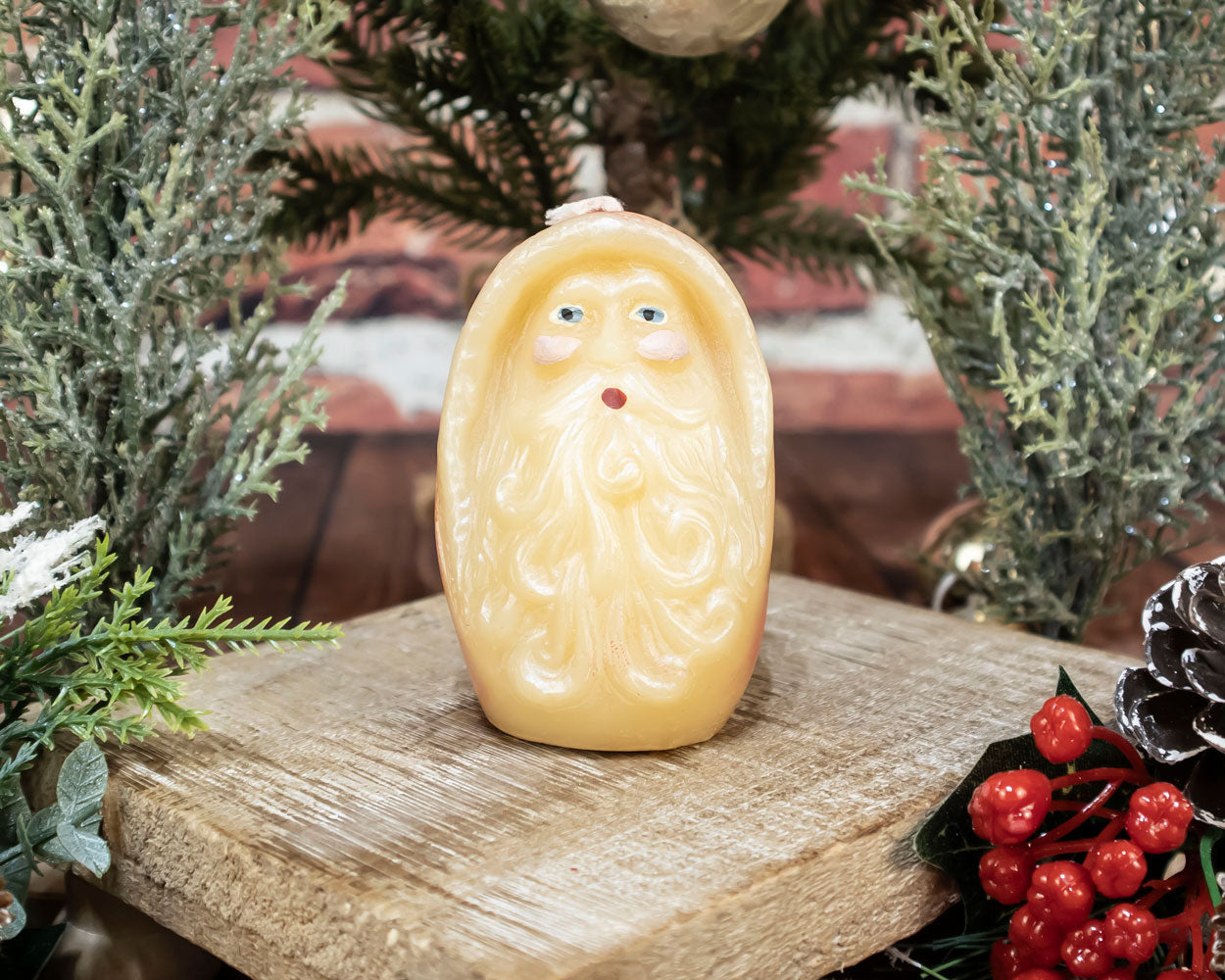 Painted Santa Head