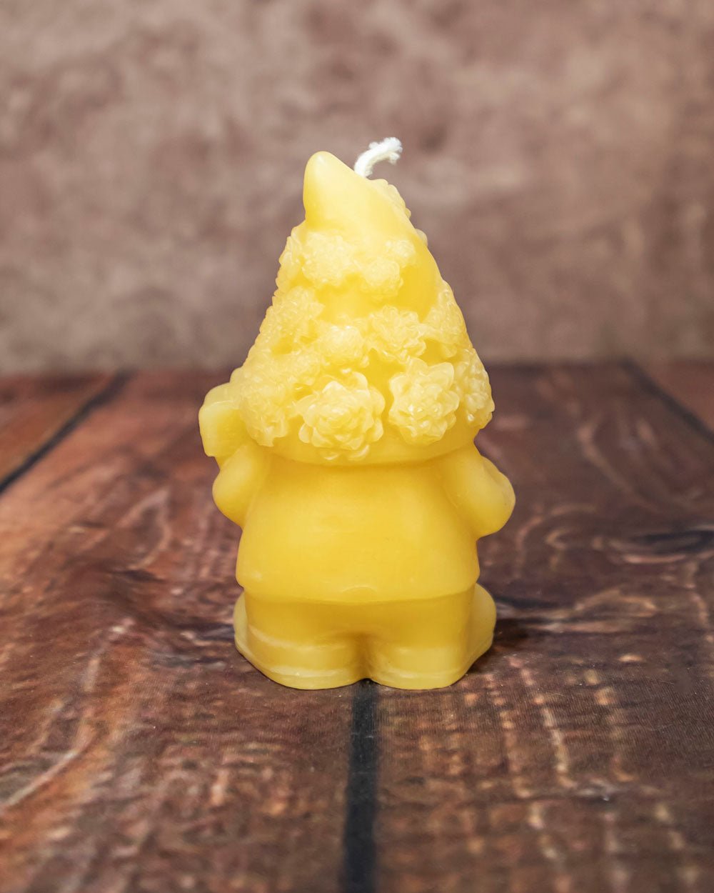 Succulent Gnome