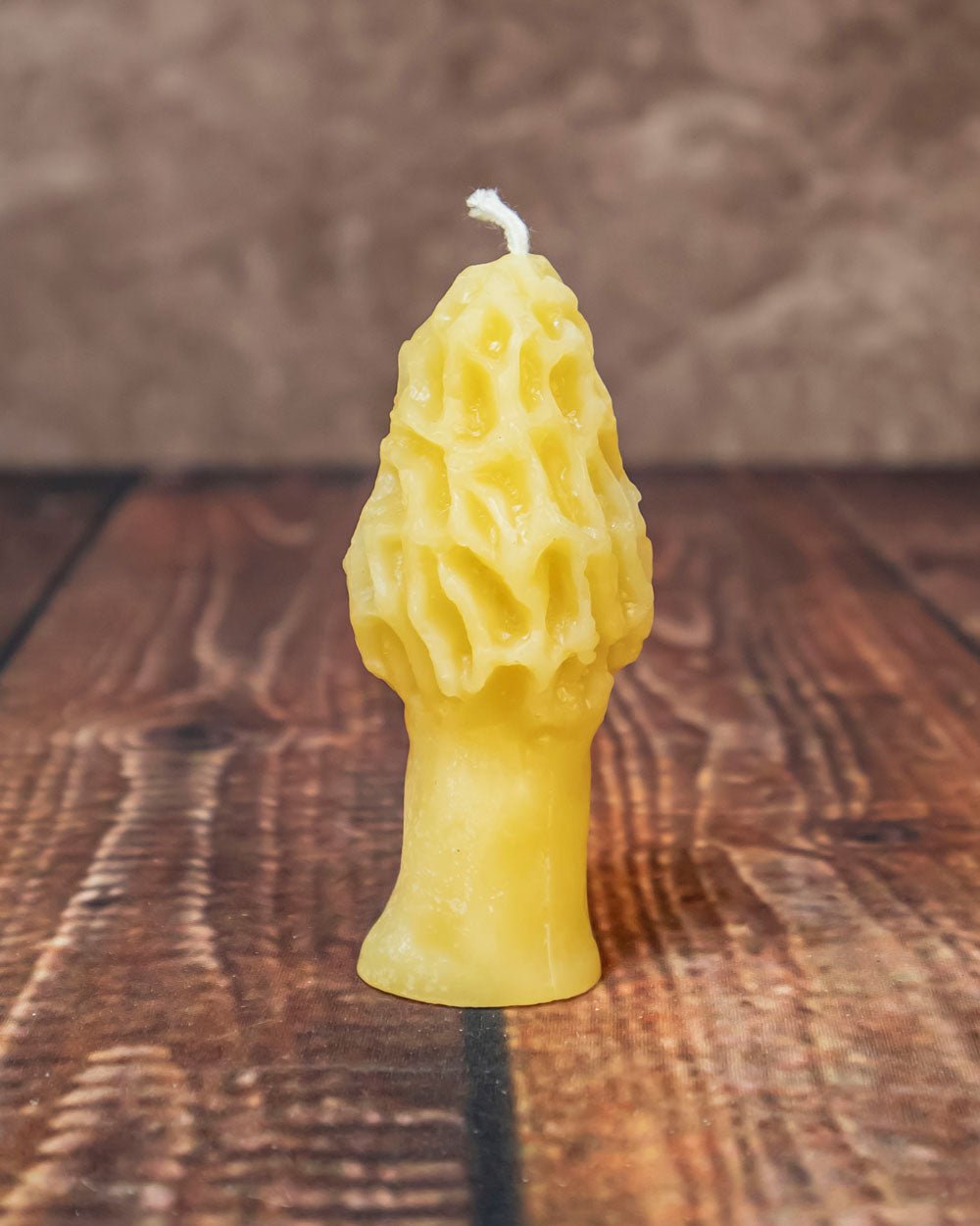 Morel Mushroom