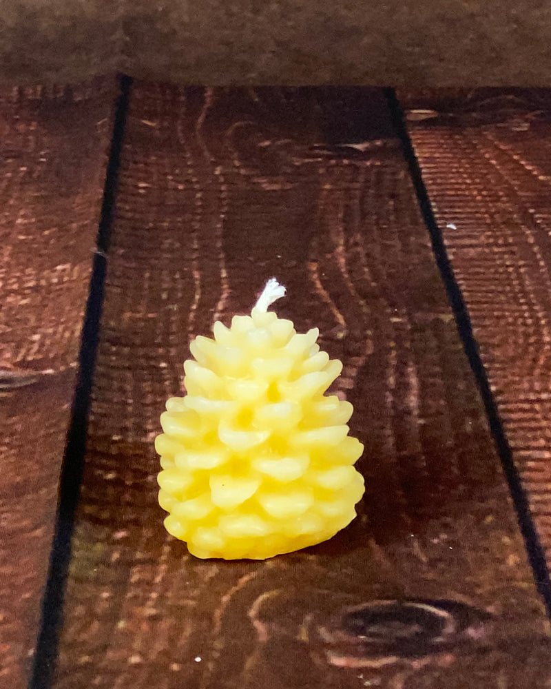 Pine Cones