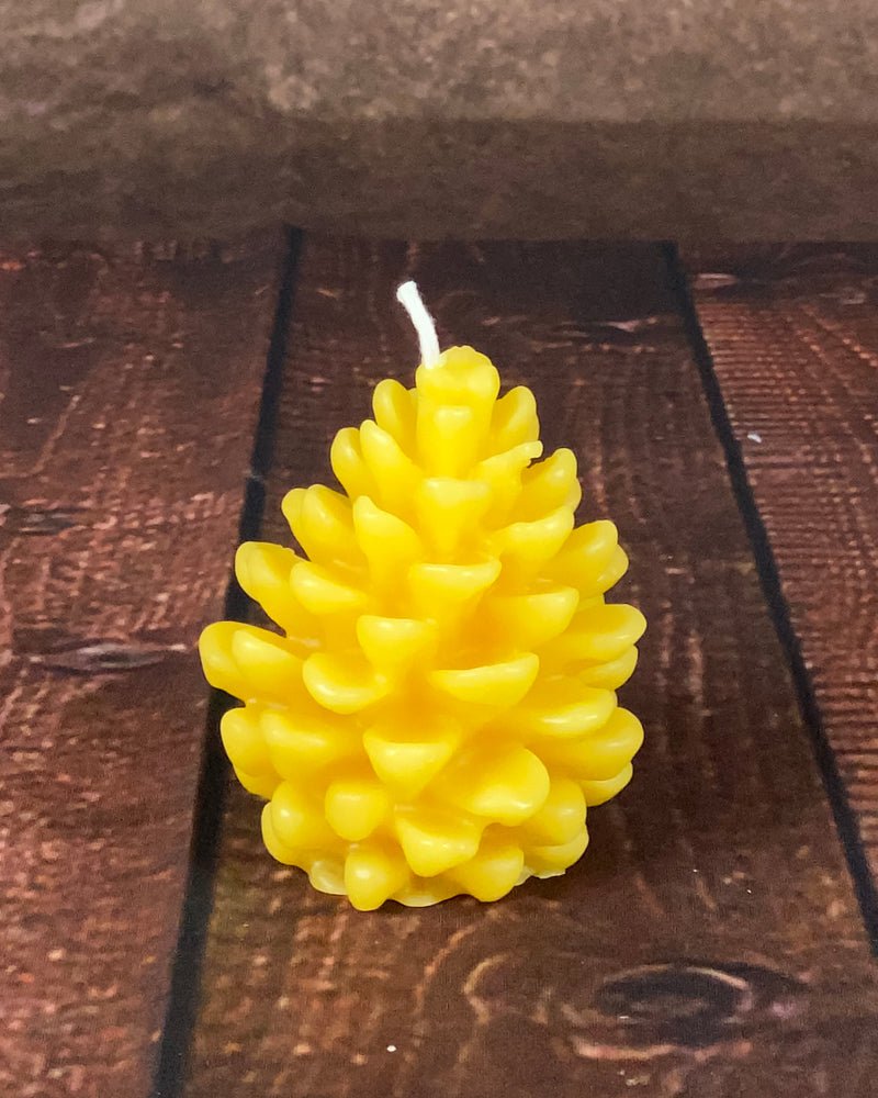 Pine Cones