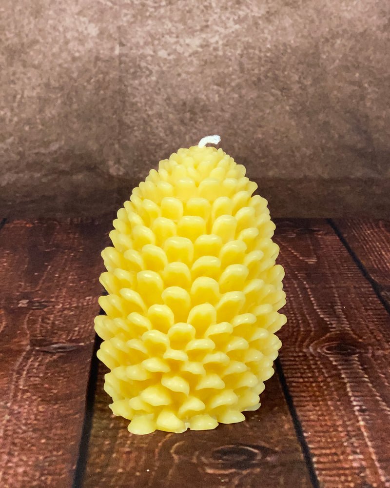 Pine Cones
