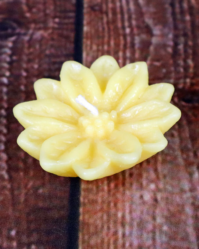 Poinsettia Floater