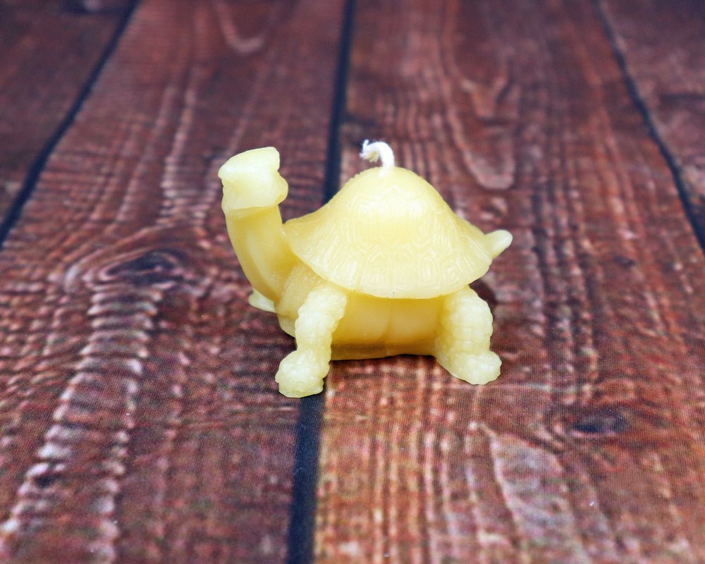 Turtles