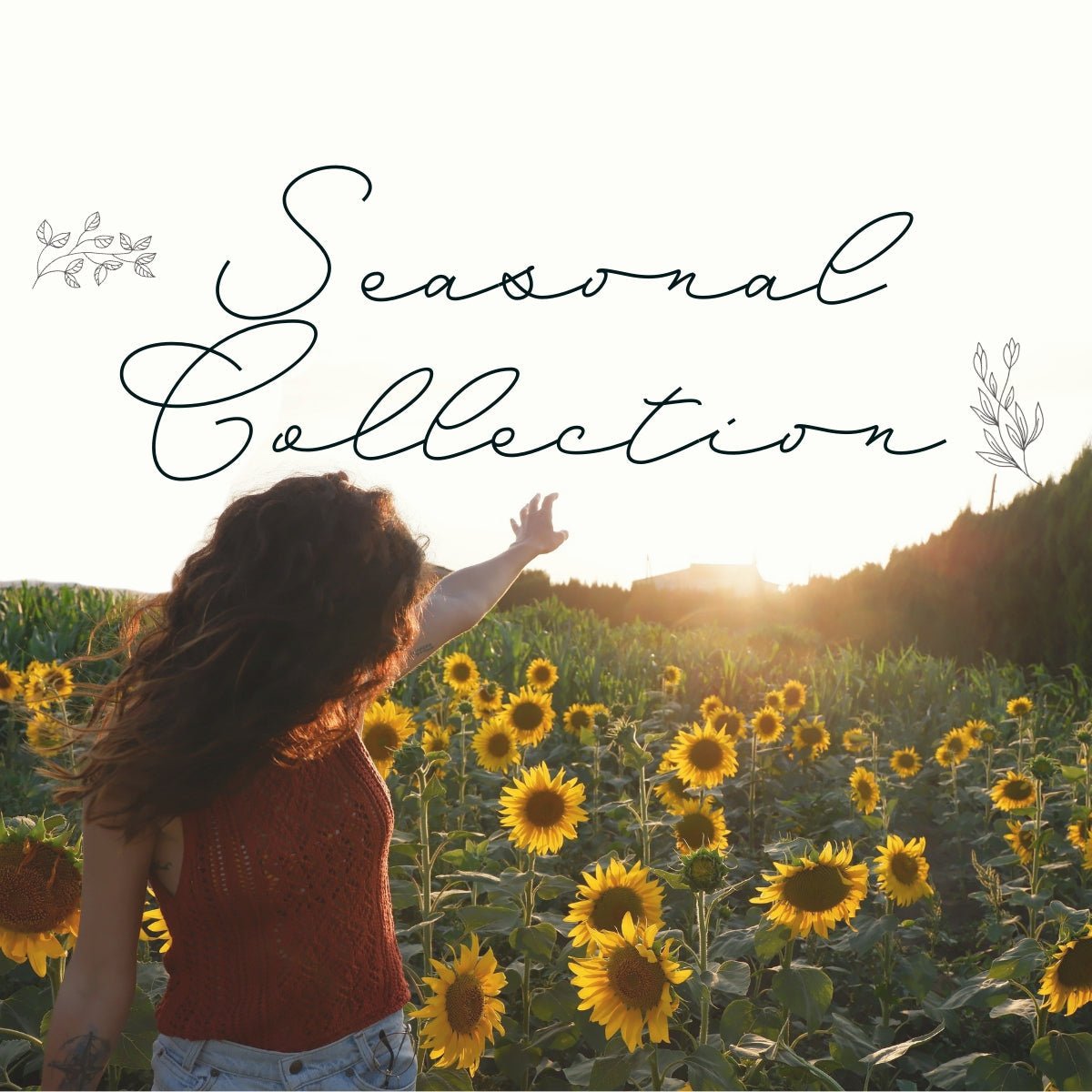 Seasonal Collection - Beelite Candles