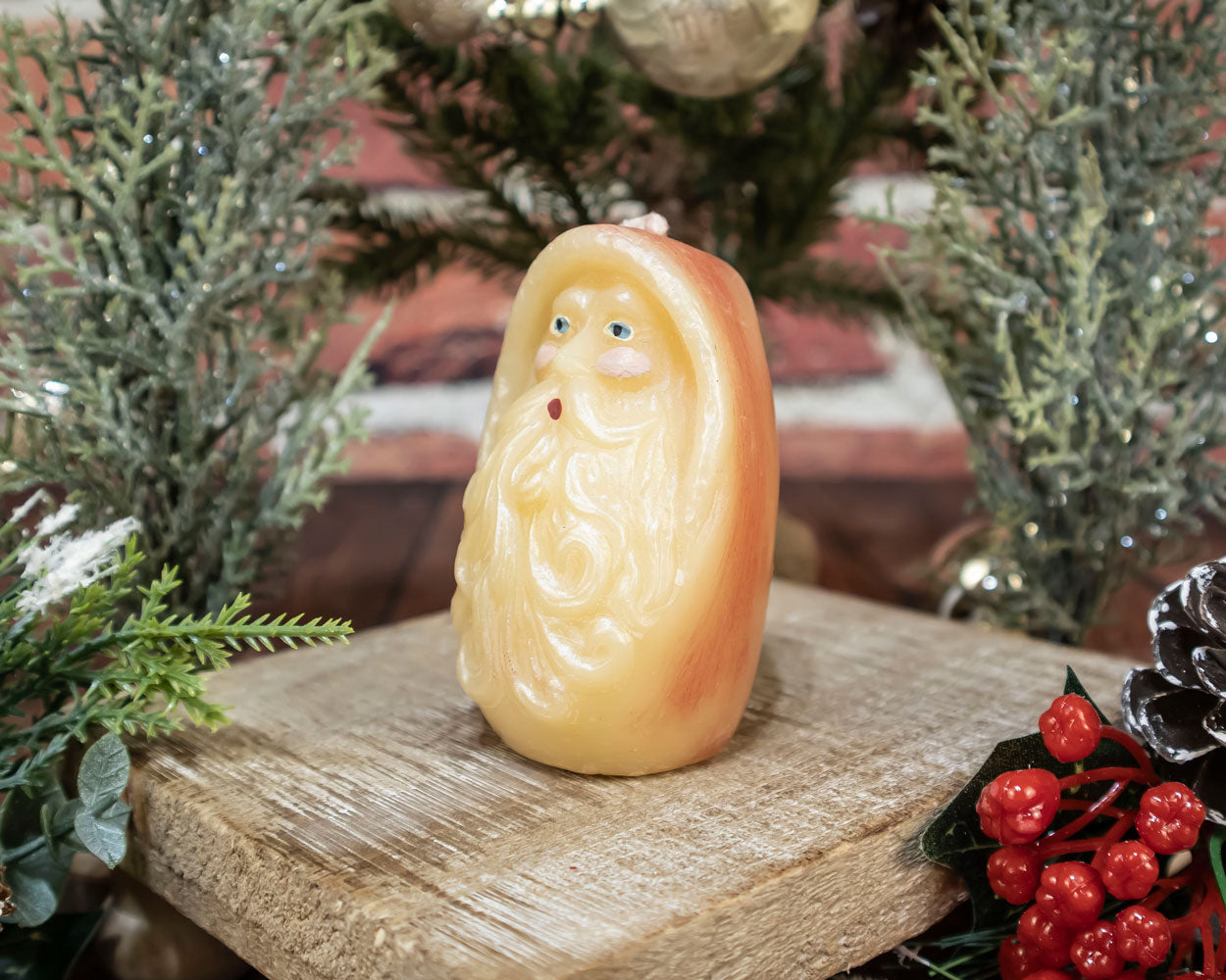 Painted Santa Head