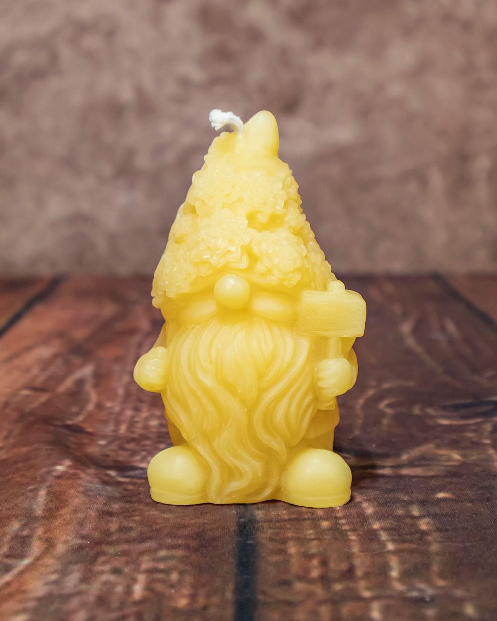 Succulent Gnome