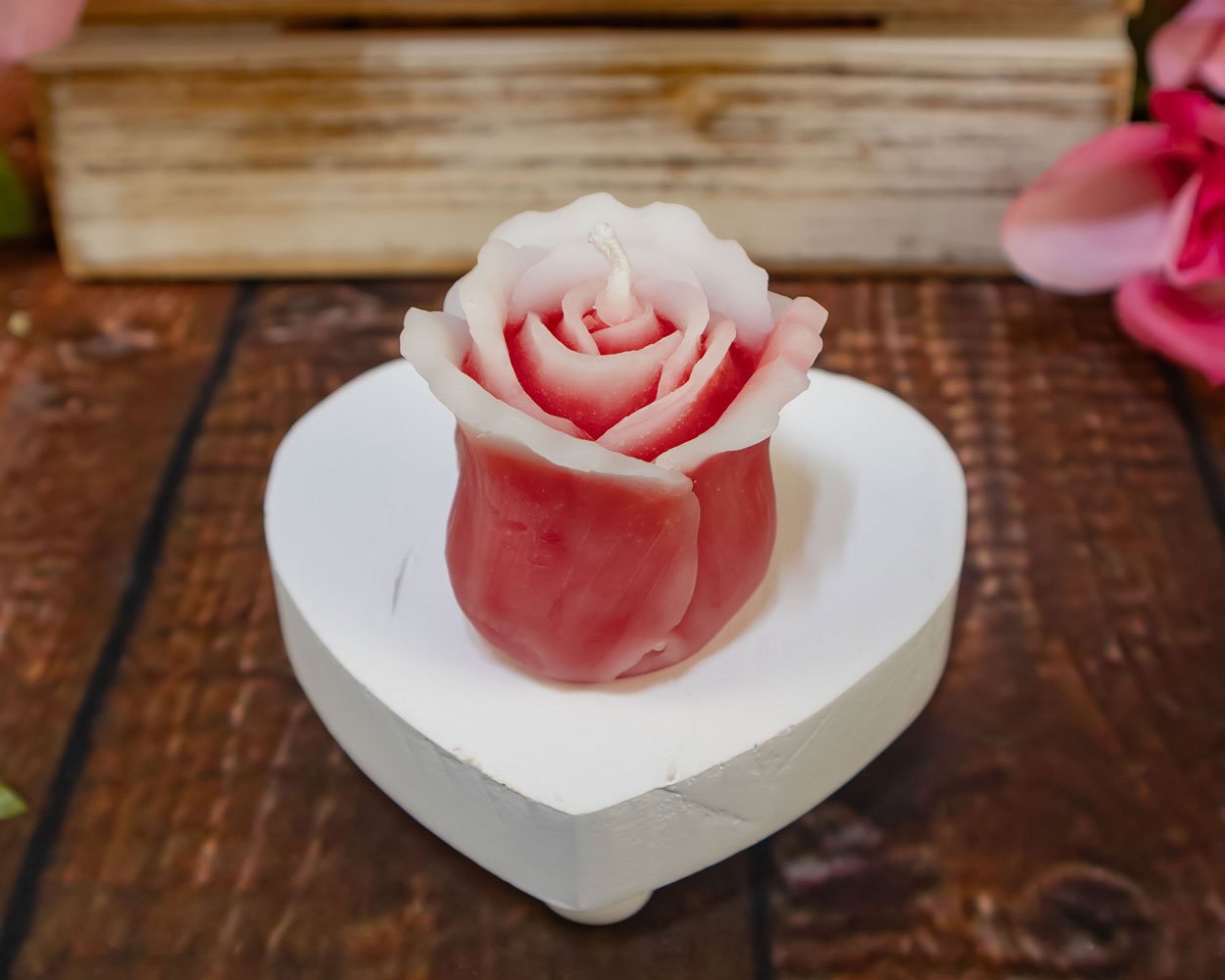 Red Rose Bud