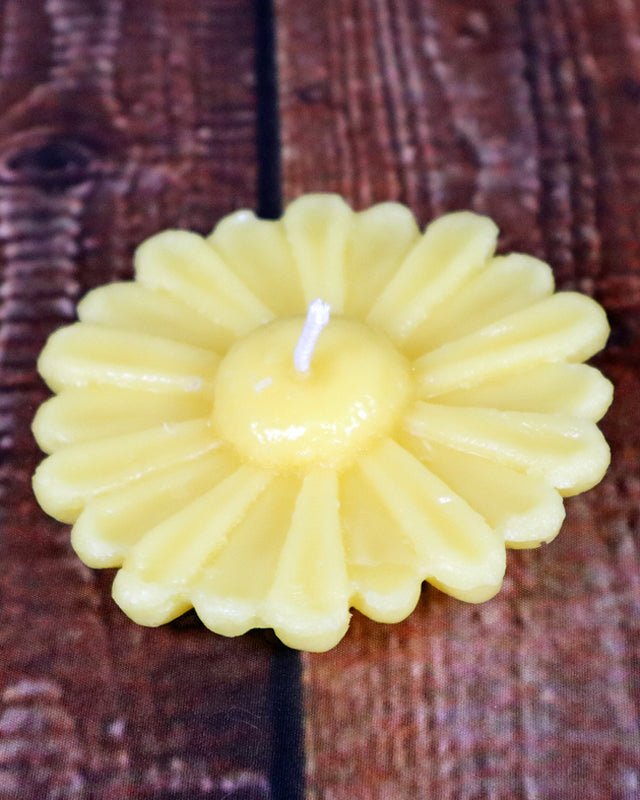 Daisy Floater