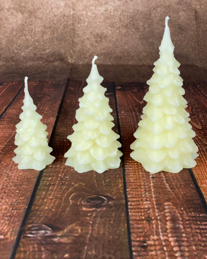 Pine Trees